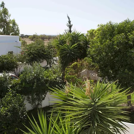 Apartment & The Four Elements Lachania (Rhodes)