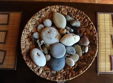 Appartement & The Four Elements