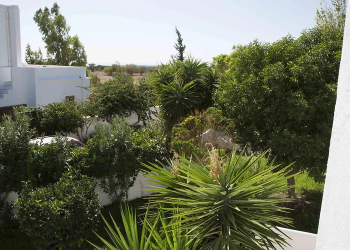 Apartment & The Four Elements Lachania (Rhodes)