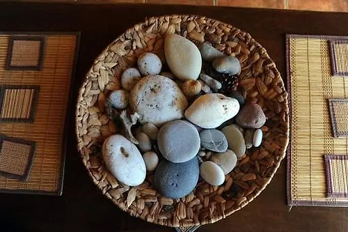 Appartement & The Four Elements